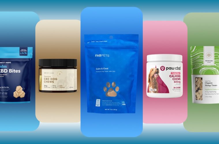 Everything You Need to Know About CBD Dog Treat
